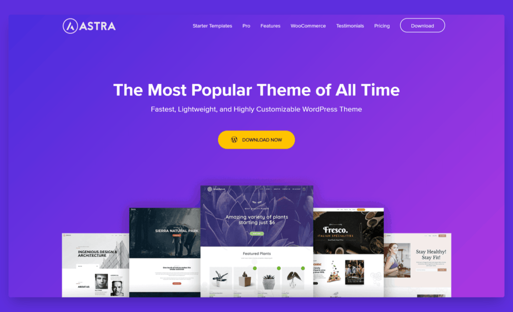 Astra theme