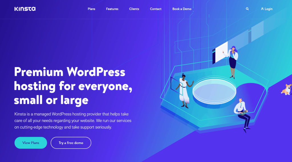 Kinsta WordPress