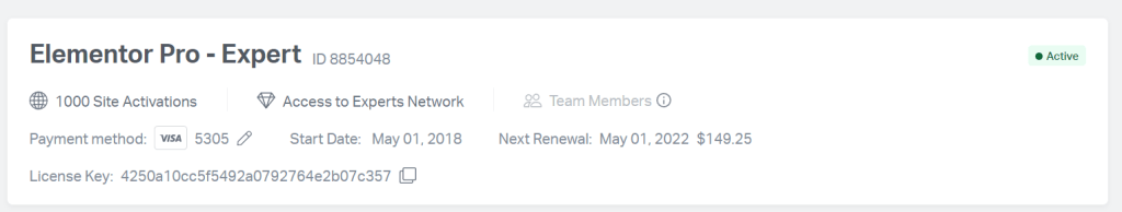 Elementor Pro Subscripton