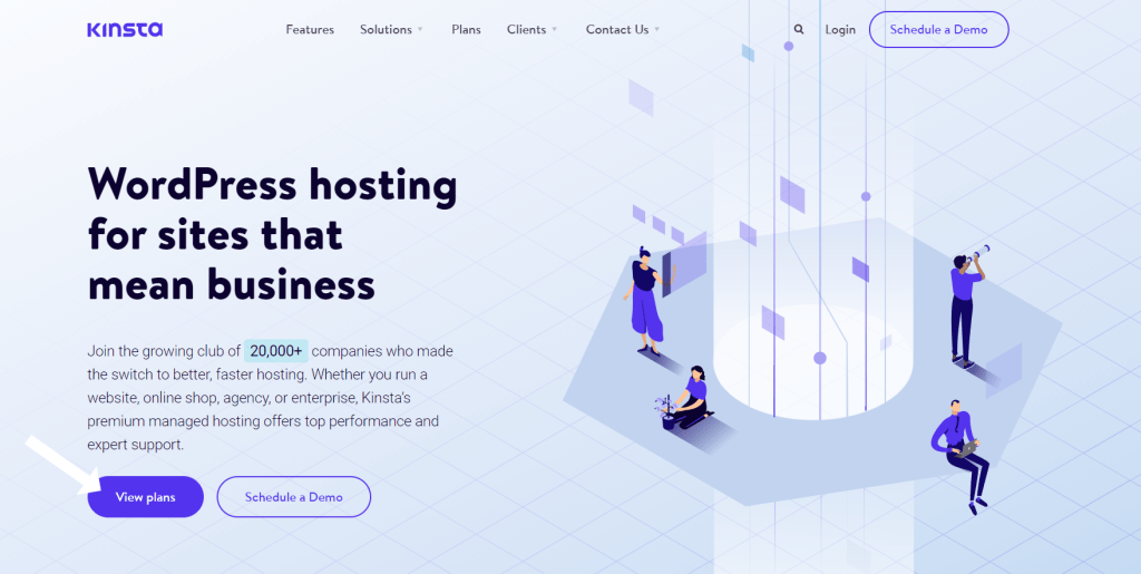 Kinsta HomePage 