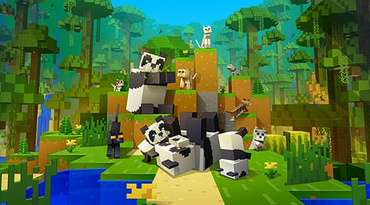 MineCraft image