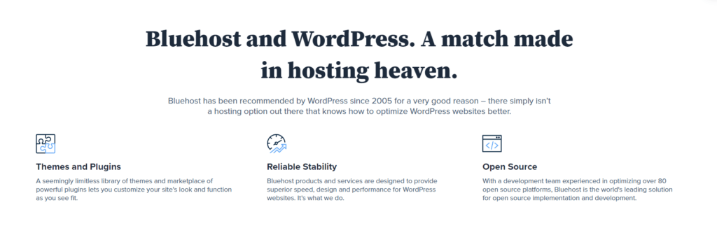 BlueHost WordPress Features