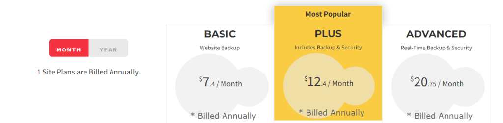 Blog-vault-pricing