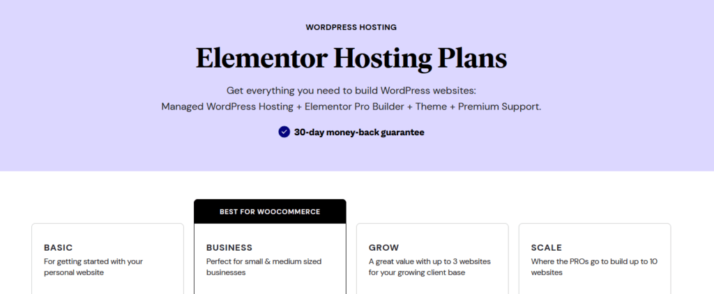 elementor hosting pricing
